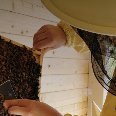 Folge 1: Ein Händchen für Bienen