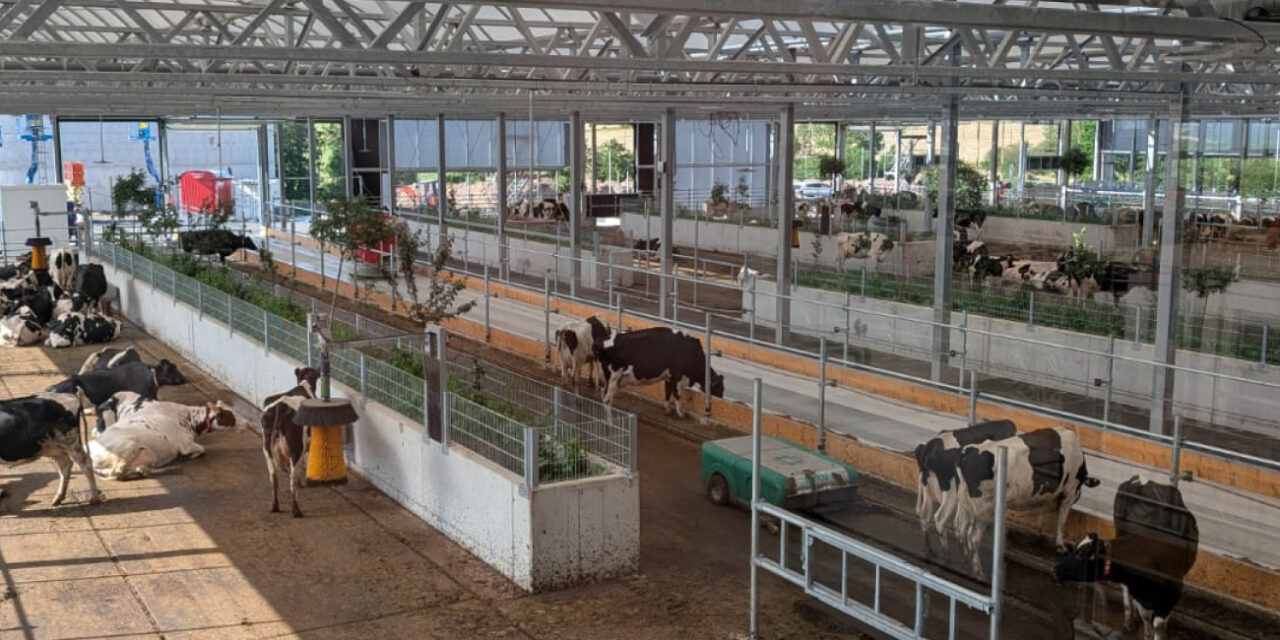 Neue Partnerschaft: Milch aus dem „Kuhgarten“