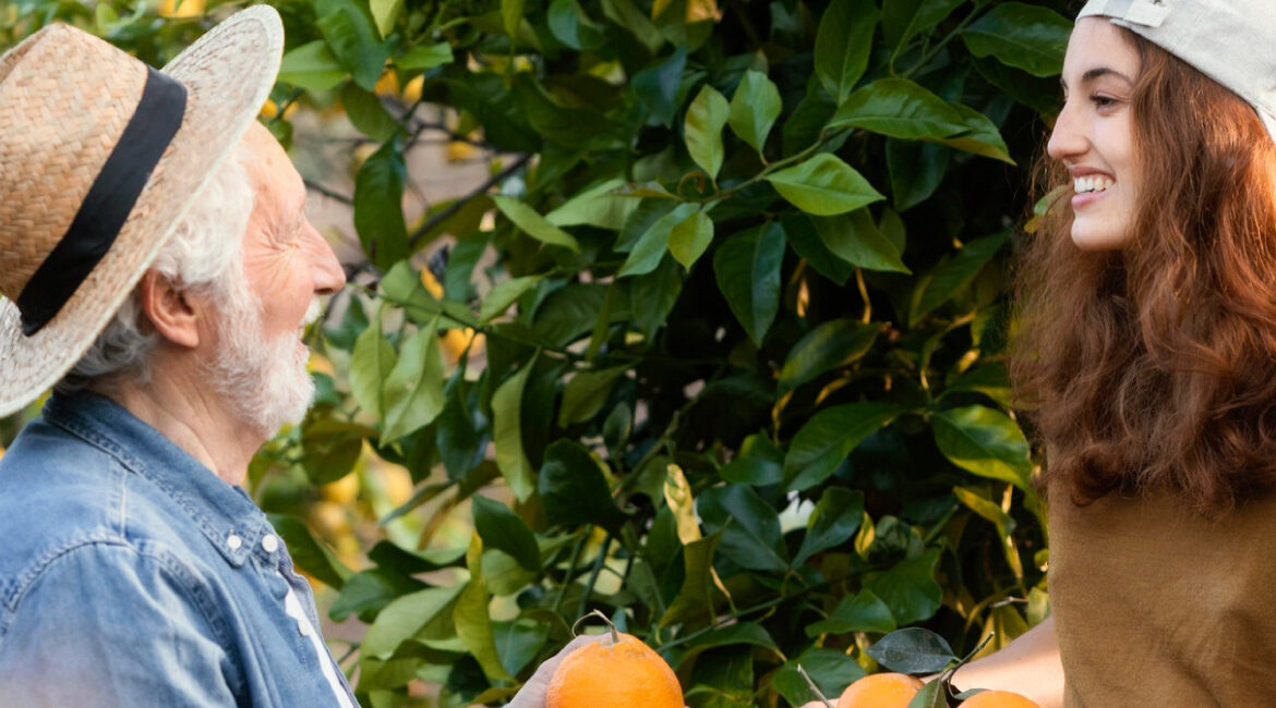 Orangenbäume und Blümchenklappe