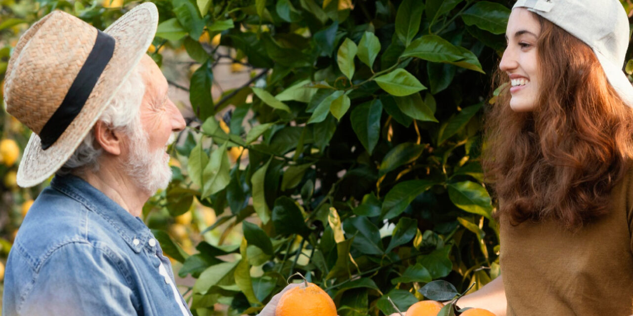 Orangenbäume und Blümchenklappe